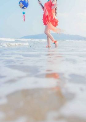 我和婚姻的战斗电视剧免费观看